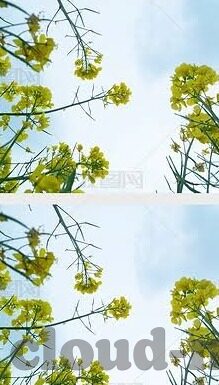 滚球足球实时比分-滚球足球实时比分，一场速度与激情的数字盛宴