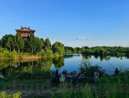 足球比分竞-足球比分竞，绿茵场外的激情博弈